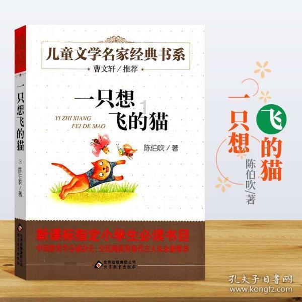 深入探索成都烧烤为什么被大家吐槽?知识星球,发现无限知识宝藏!