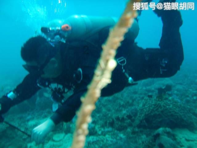 上海女排25比23先胜一场，打破天津“不败纪录”