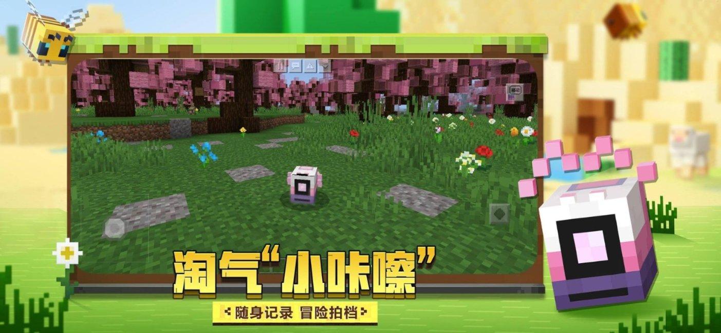 春雨直播app