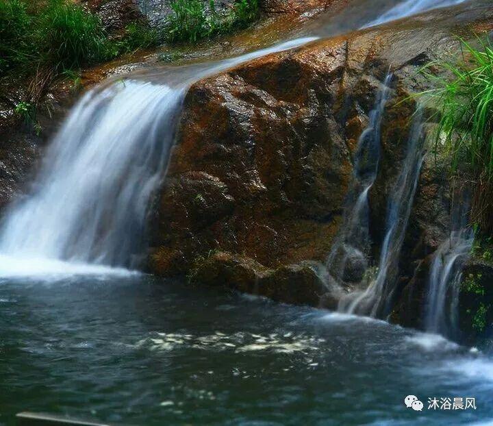 肯尼亚马赛马拉遇大雨天气 狮子抖动鬃毛非常惬意