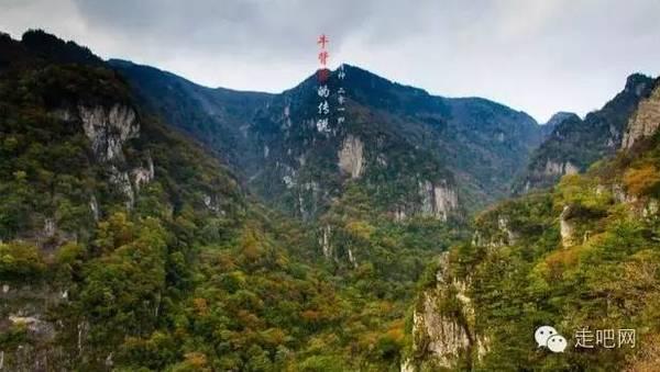 东营市东营区入选山东省人才引领县域高质量发展试点县