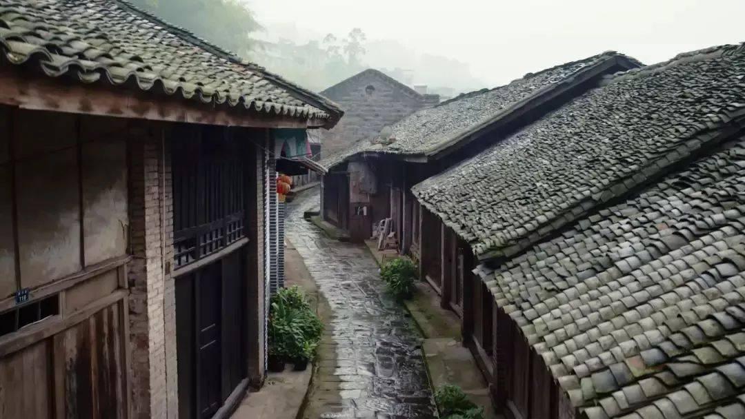 宠物世界聚会